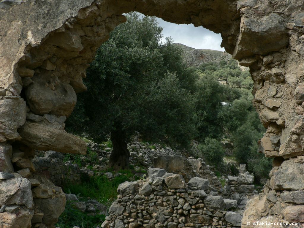 Photo report of a visit to Giorgitsi, uninhabited village above Chora Sfakion, Sfakia, Crete