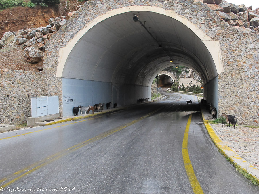 Photo report around Chania and Sfakia, Crete, April 2014