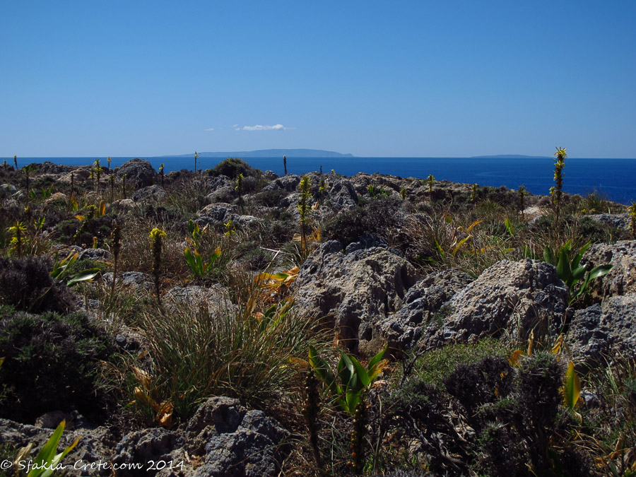 Photo report around Chania and Sfakia, Crete, April 2014