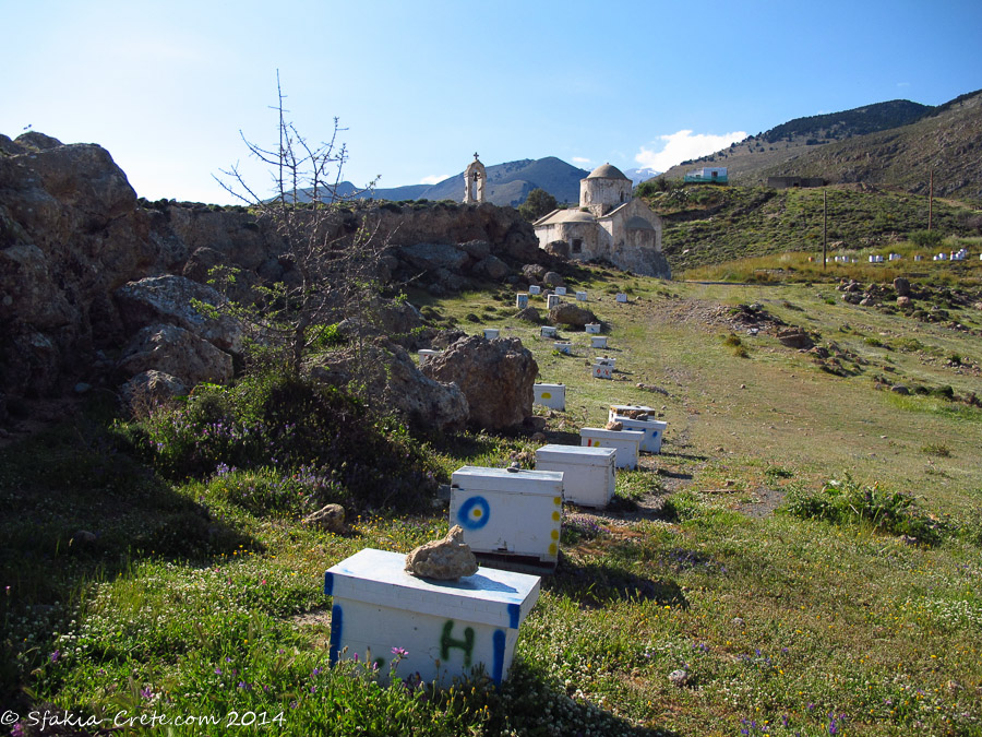 Photo report around Chania and Sfakia, Crete, April 2014