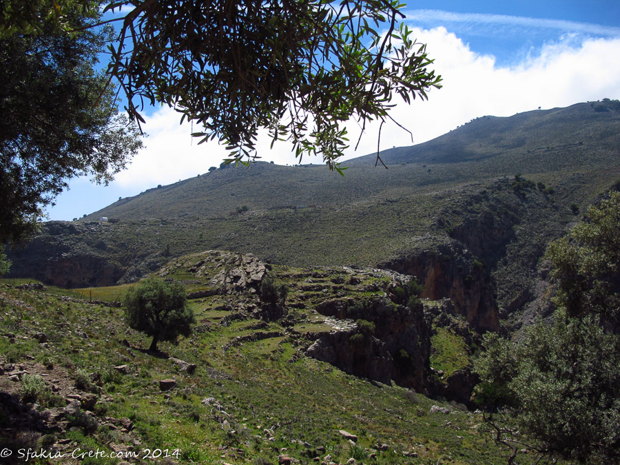 Photo report around Chania and Sfakia, Crete, April 2014