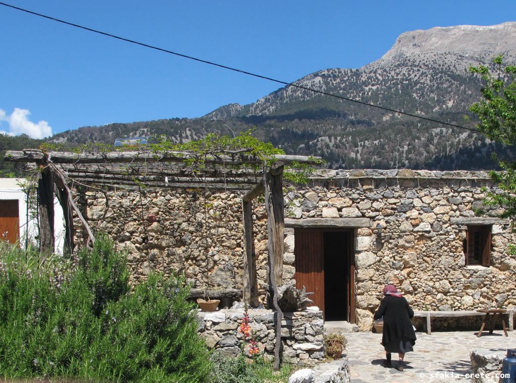 Photo report: Around Sfakia, Crete Spring 2013