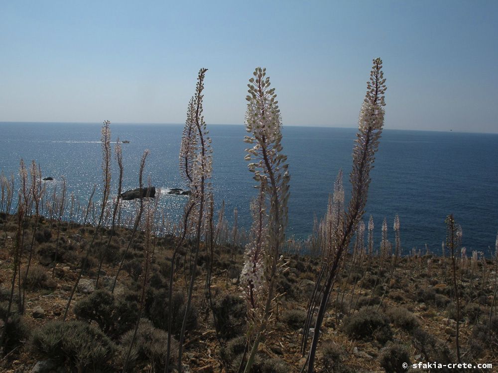 photo report Sfakia, Crete, October 2012