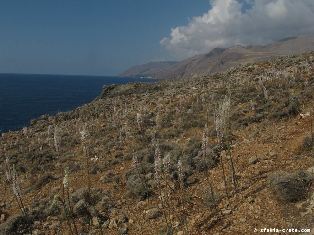 photo report Sfakia, Crete, October 2012