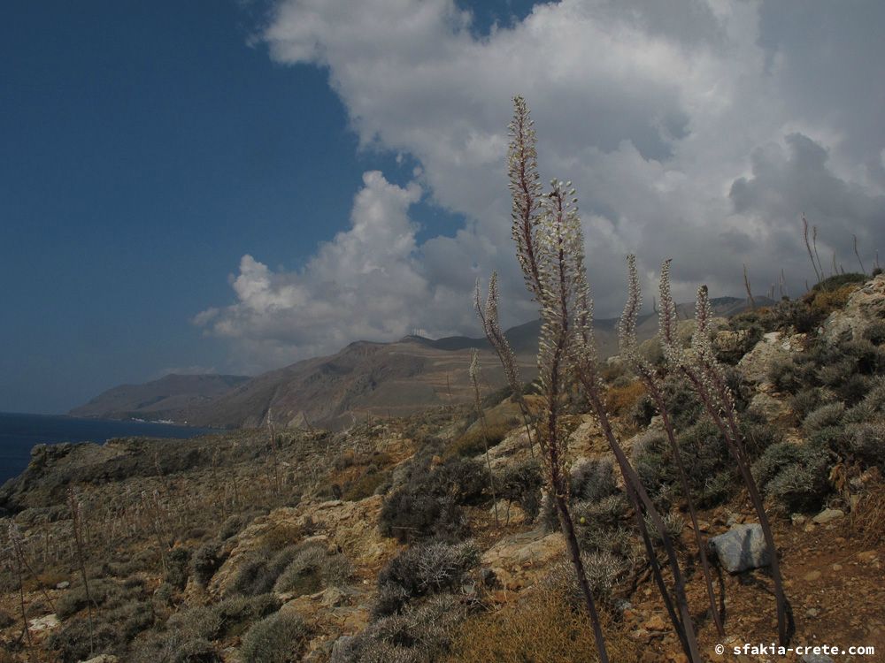 photo report Sfakia, Crete, October 2012