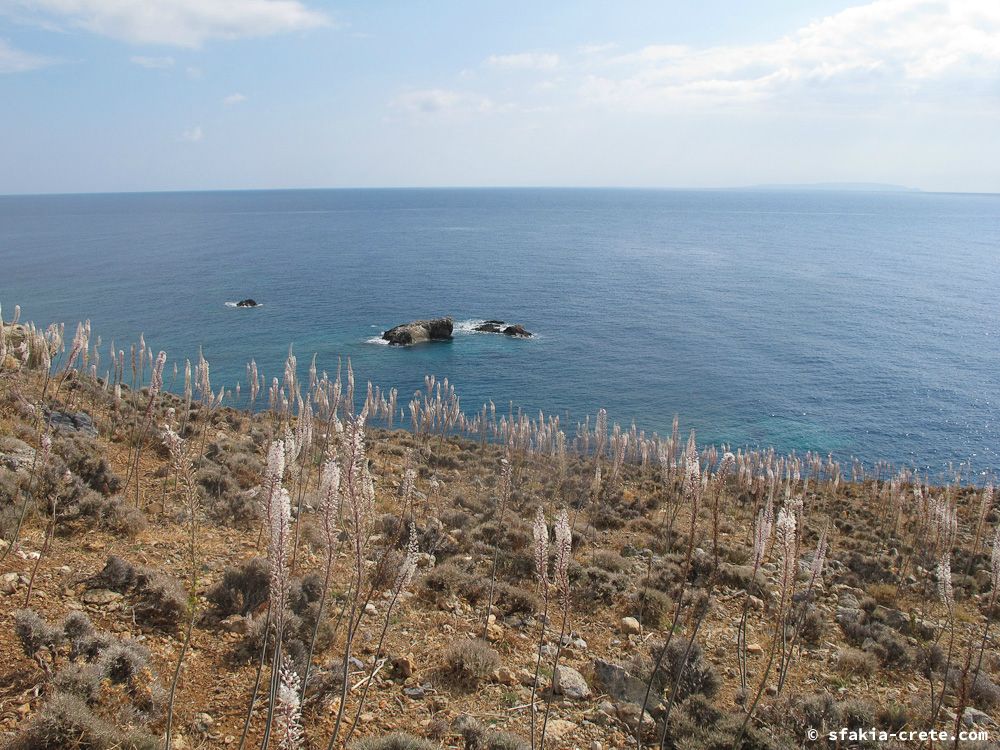 photo report Sfakia, Crete, October 2012