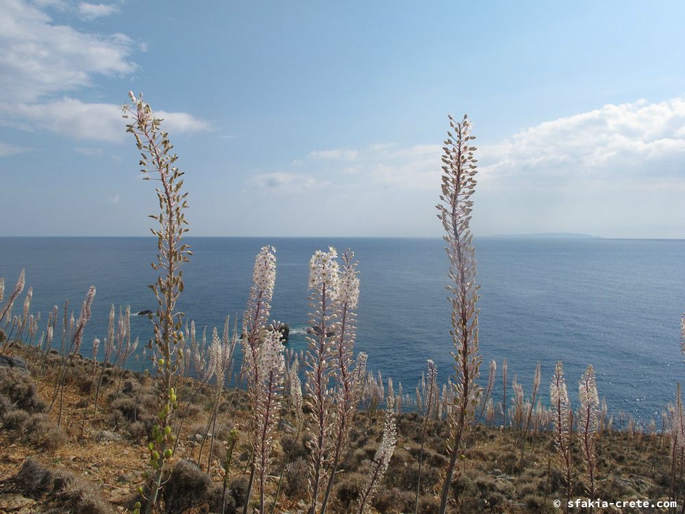 photo report Sfakia, Crete, October 2012