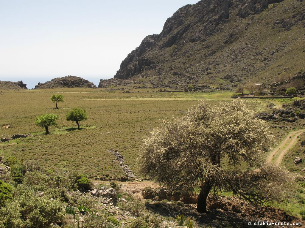 Photo report: Around Sfakia, Crete April 2012