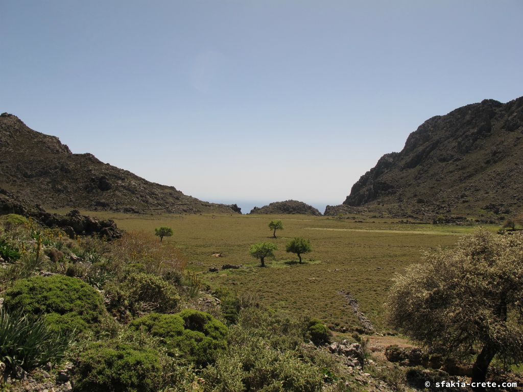 Photo report: Around Sfakia, Crete April 2012