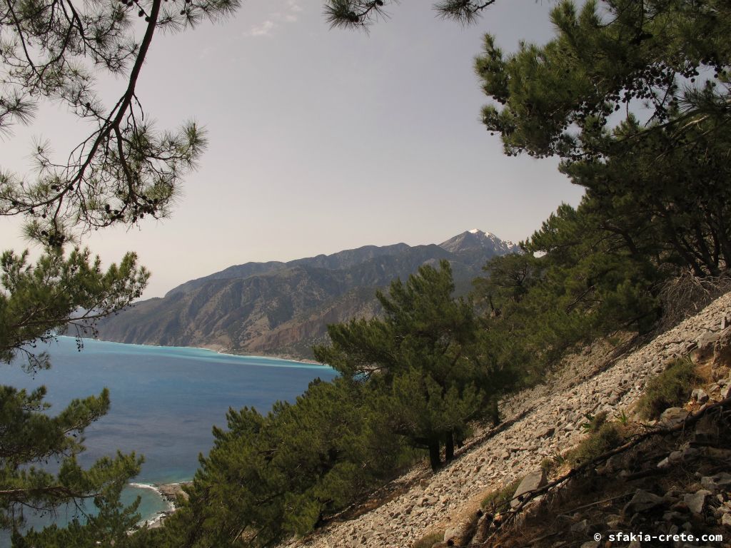 Photo report: Around Sfakia, Crete April 2012