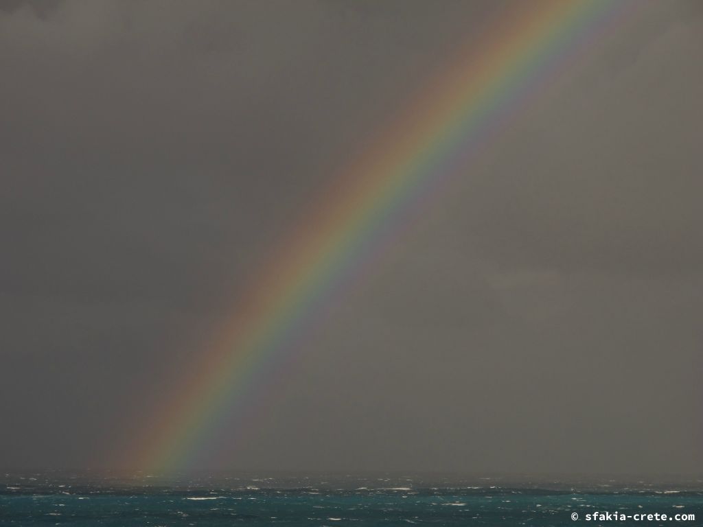 Photo report: Around Sfakia, Crete April 2012