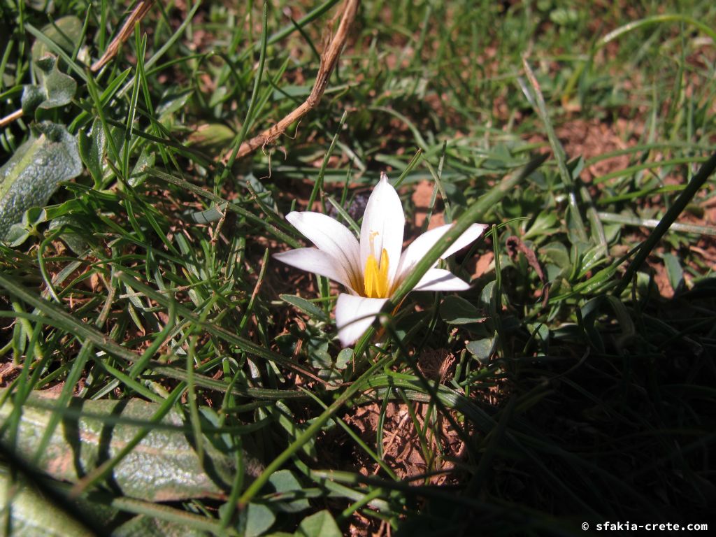 Photo report: Around Sfakia, Crete April 2012