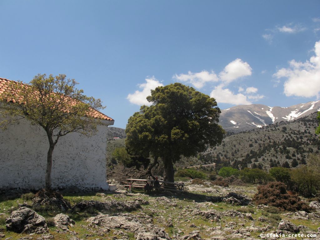 Photo report: Around Sfakia, Crete April 2012