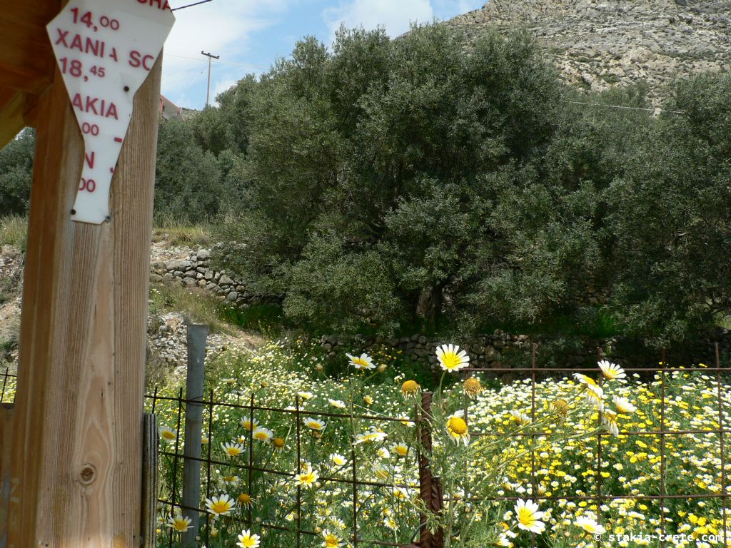 Photo report: Around Sfakia, Crete April - May 2011