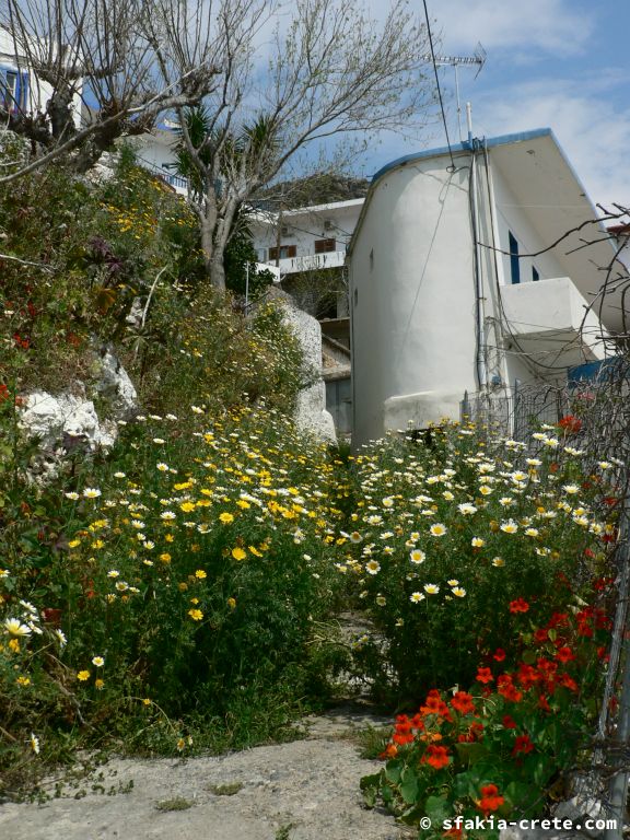 Photo report: Around Sfakia, Crete April - May 2011