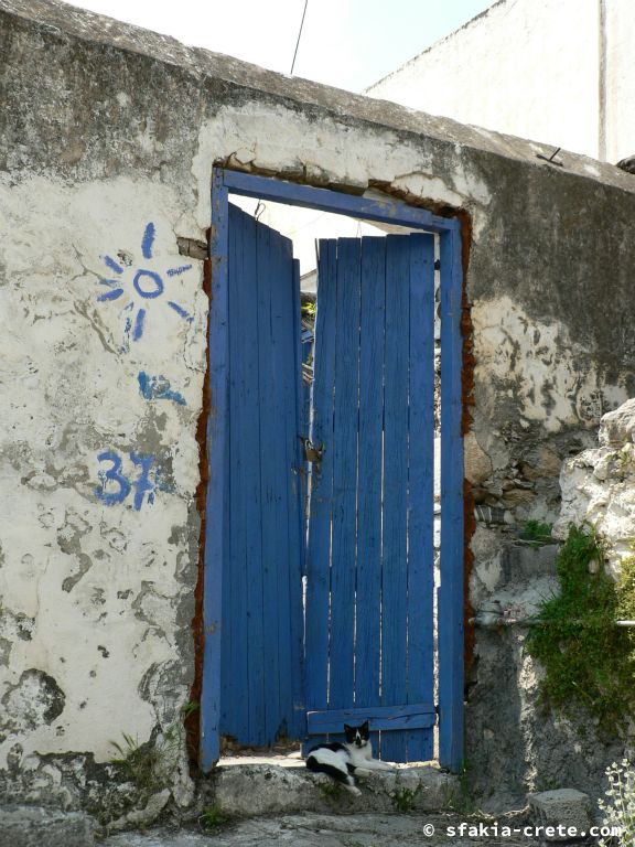 Photo report: Around Sfakia, Crete April - May 2011