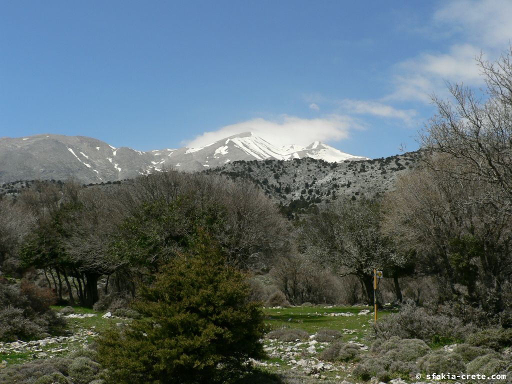 Photo report: Around Sfakia, Crete April - May 2011