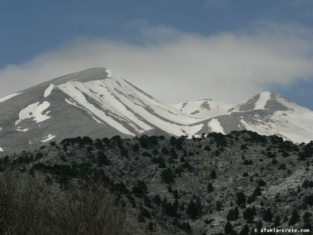 Photo report: Around Sfakia, Crete April - May 2011