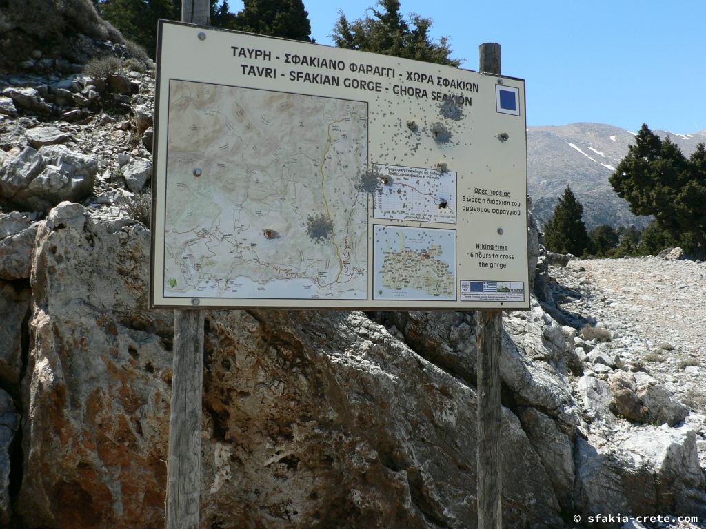 Photo report: Around Sfakia, Crete April - May 2011