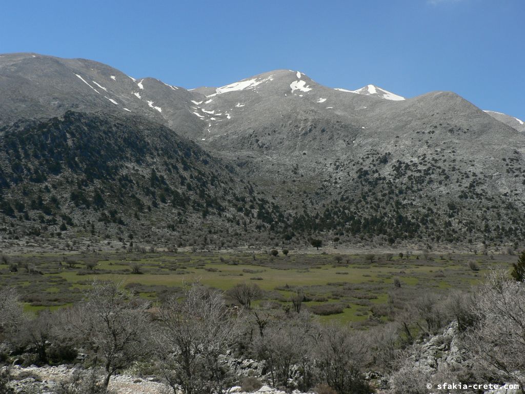 Photo report: Around Sfakia, Crete April - May 2011