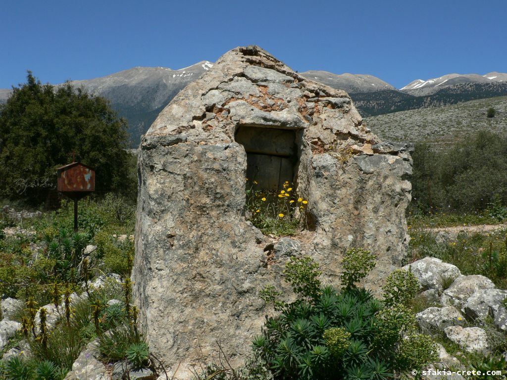 Photo report: Around Sfakia, Crete April - May 2011