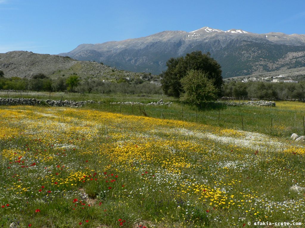 Photo report: Around Sfakia, Crete April - May 2011