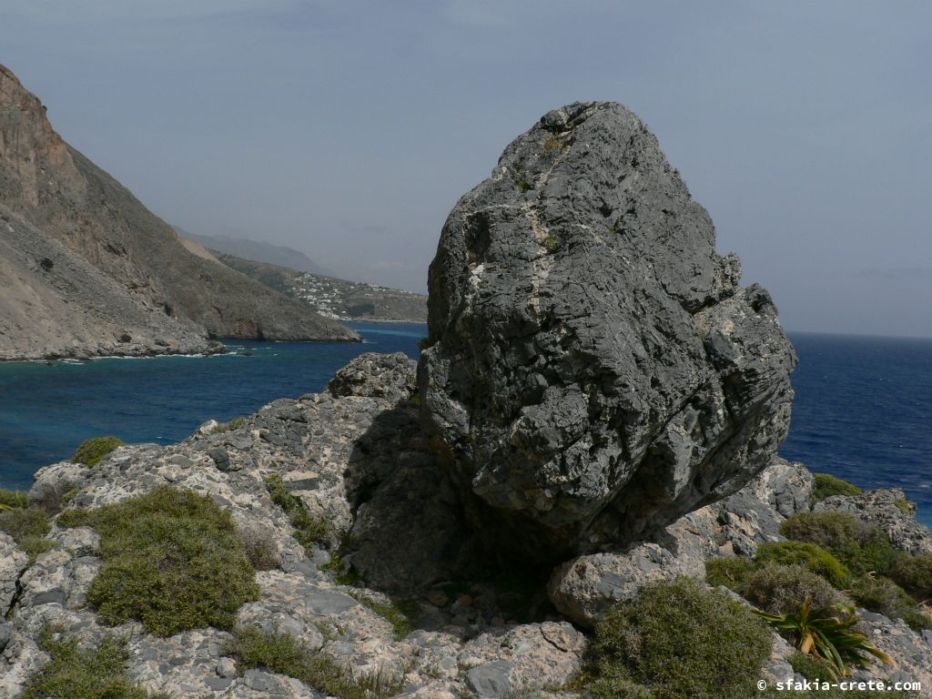 Photo report: Around Sfakia, Crete April - May 2011