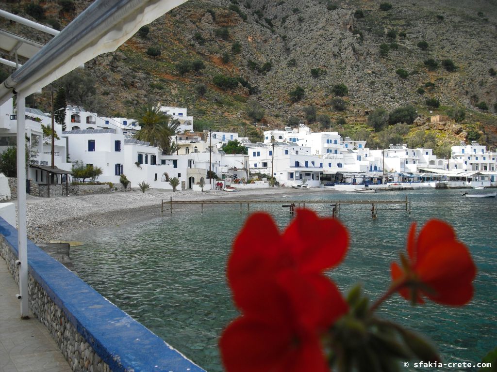 Photo report: Around Loutro, Sfakia, Crete April 2011