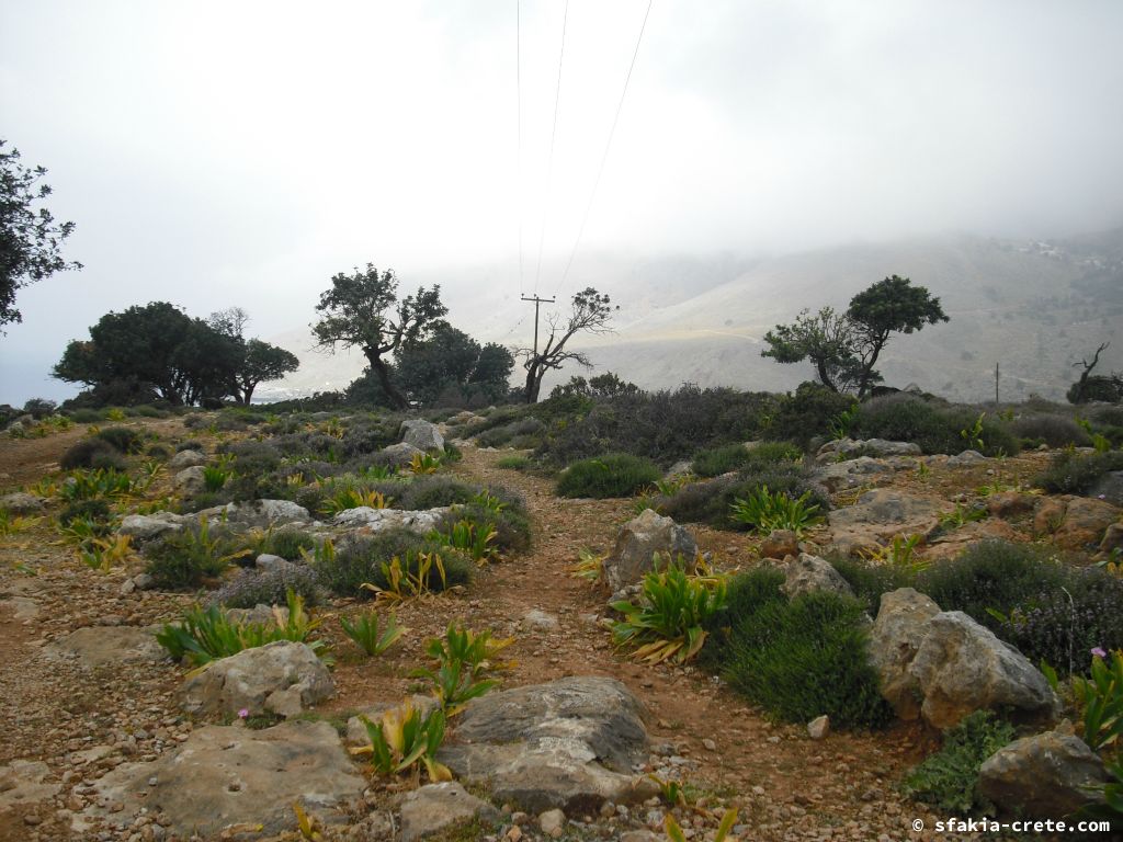 Photo report: Around Loutro, Sfakia, Crete April 2011