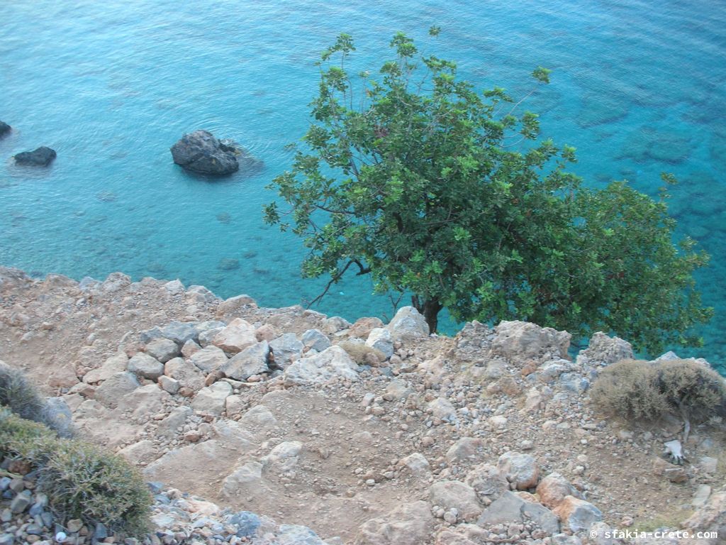 Photo report: Around Loutro, Sfakia, Crete July 2010