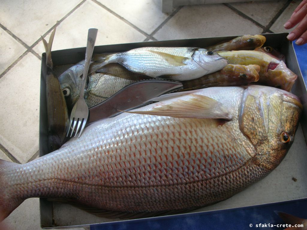 Photo report: Around Loutro, Sfakia, Crete July 2010