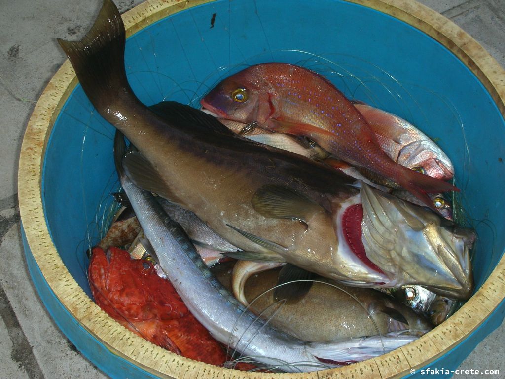 Photo report: Around Loutro, Sfakia, Crete July 2010