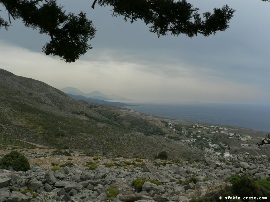 Photo report: Around Sfakia, Crete April - May 2010