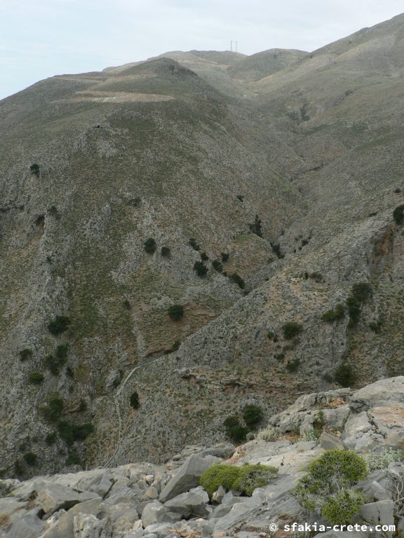 Photo report: Around Sfakia, Crete April - May 2010