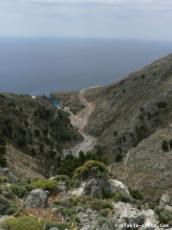 Photo report: Around Sfakia, Crete April - May 2010