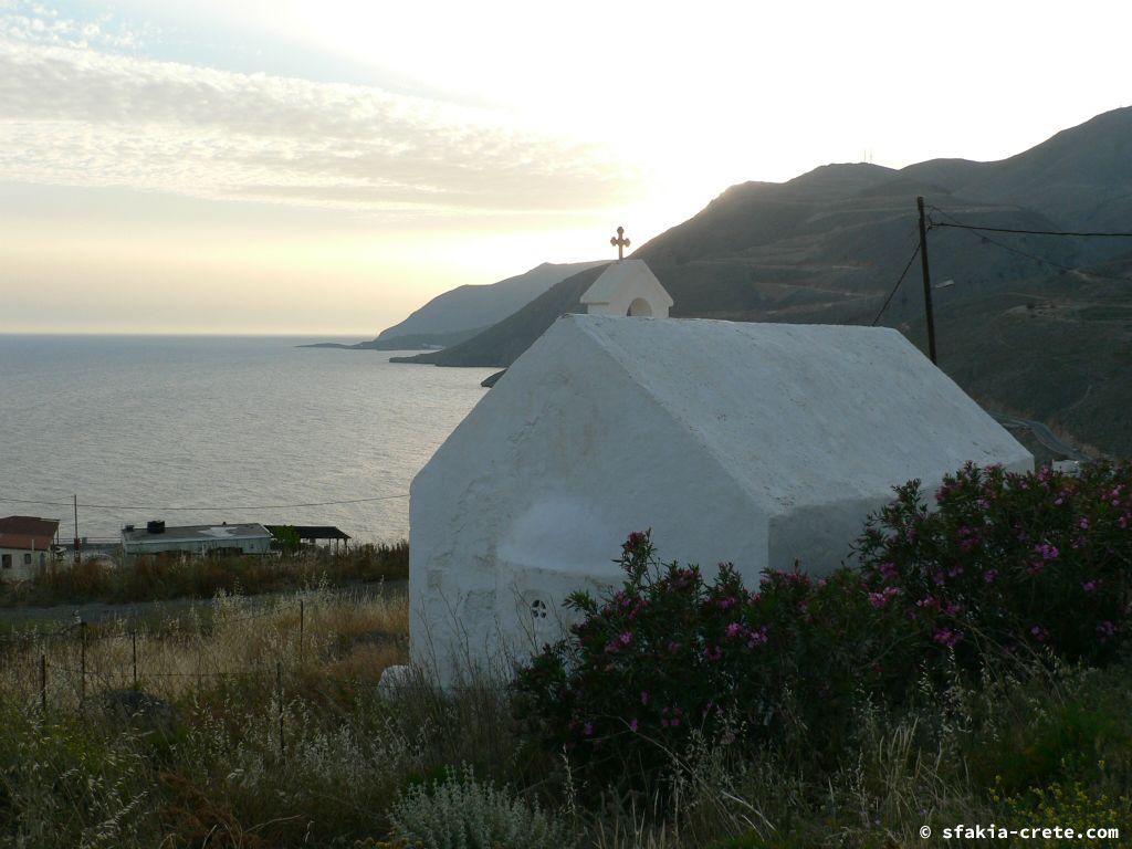 Photo report: Around Sfakia, Crete April - May 2010