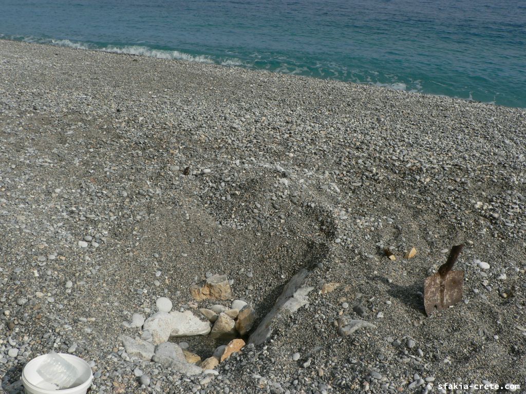 Photo report: Around Sfakia, Crete April - May 2010