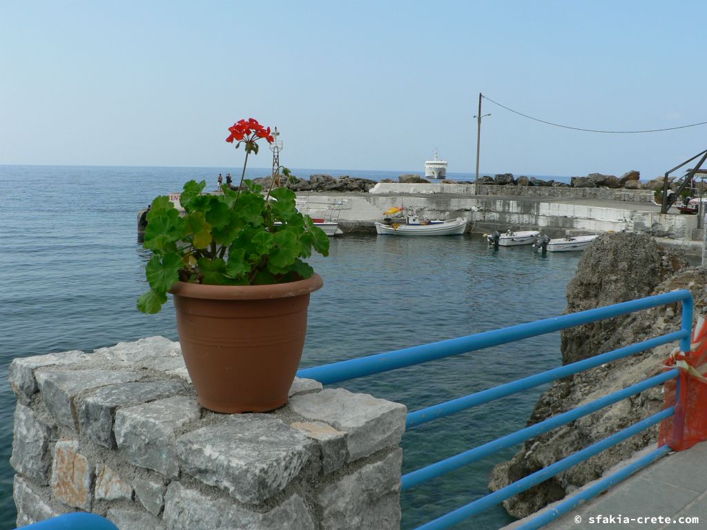 Photo report: Around Sfakia, Crete April - May 2010