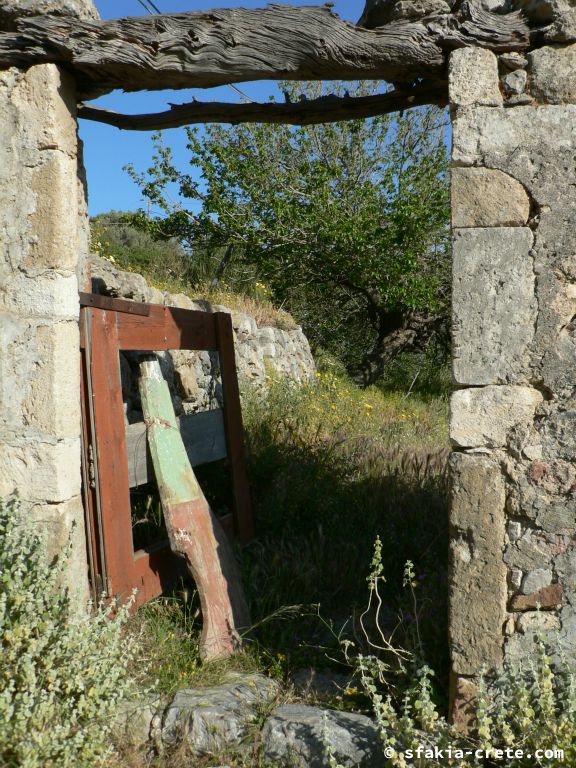 Photo report: Around Sfakia, Crete April - May 2010