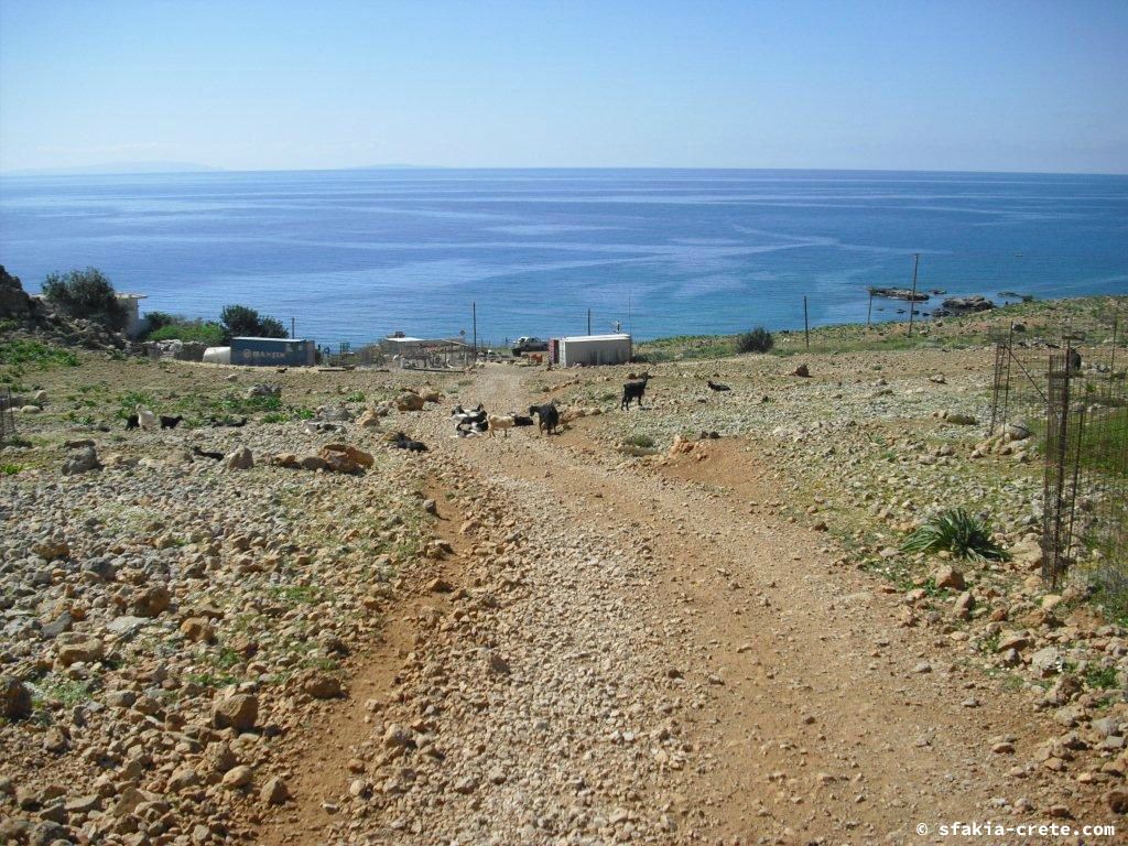 Photo report of a stay around Loutro, Sfakia, Crete in March - April 2010