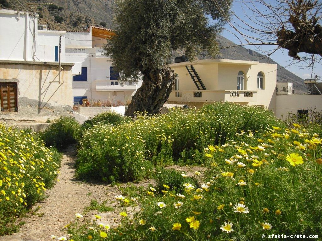 Photo report of a stay around Loutro, Sfakia, Crete in March - April 2010