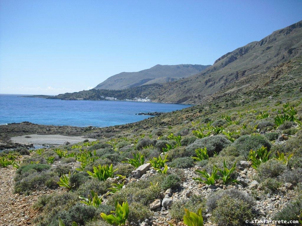 Photo report of a stay around Loutro, Sfakia, Crete in March - April 2010