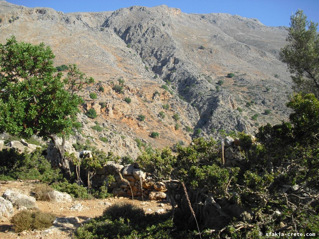 Photo report of a stay around Loutro, Sfakia, Crete in October 2009