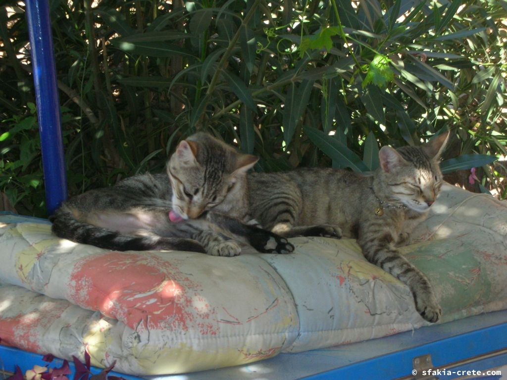 Photo report of a stay around Loutro, Sfakia, Crete in July 2009