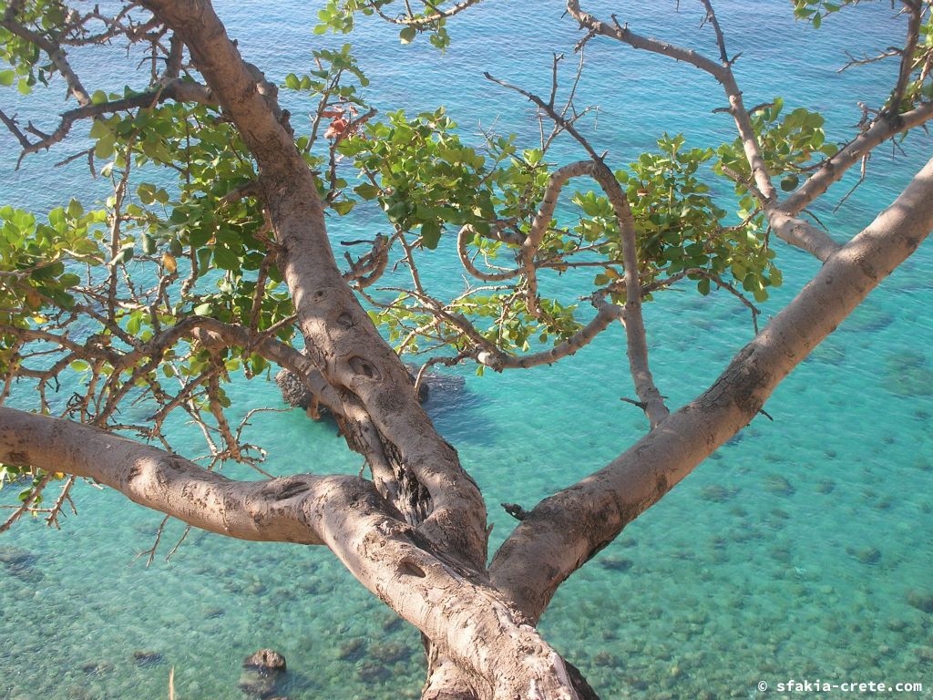 Photo report of a stay around Loutro, Sfakia, Crete in July 2009