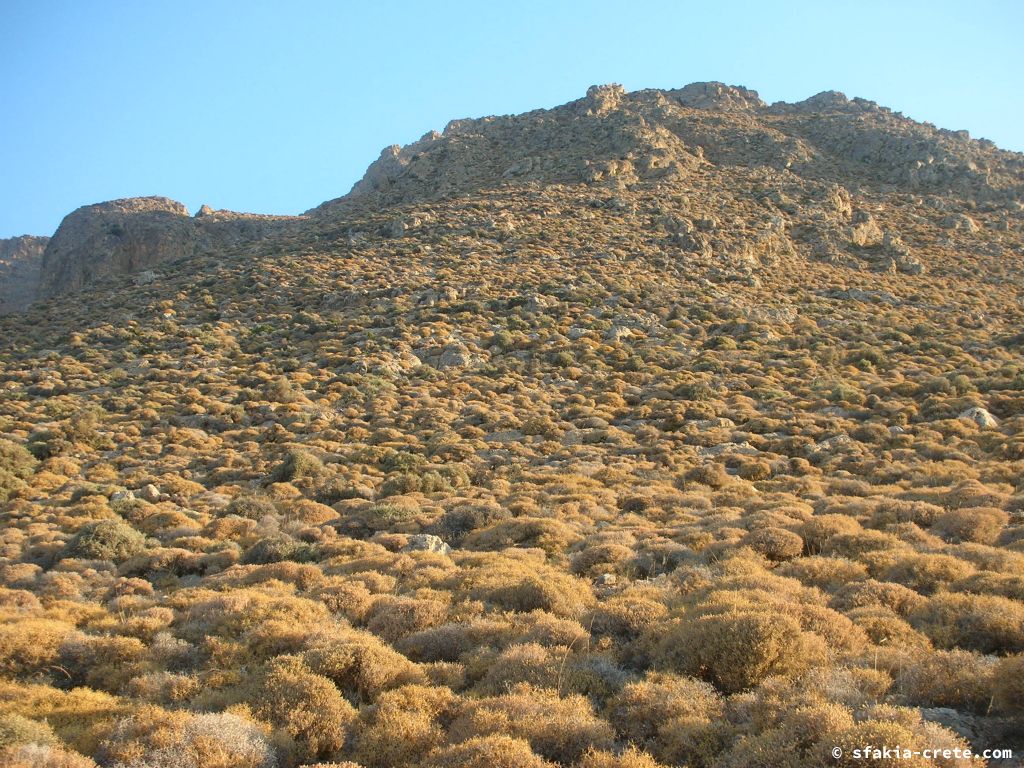 Photo report of a stay around Loutro, Sfakia, Crete in July 2009