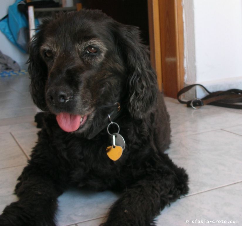 Photo report of a stay around Loutro, Sfakia, Crete in July 2009