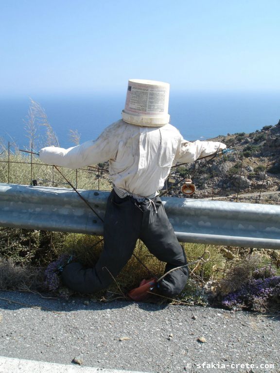 Photo report of a stay around Sfakia, Crete in July - August 2009