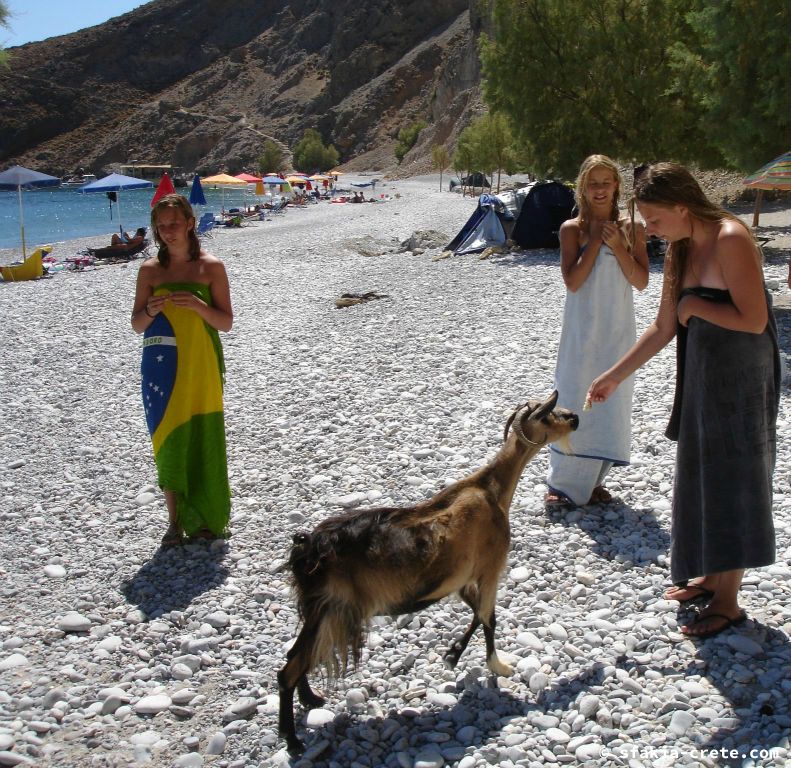 Photo report of a stay around Sfakia, Crete in July - August 2009