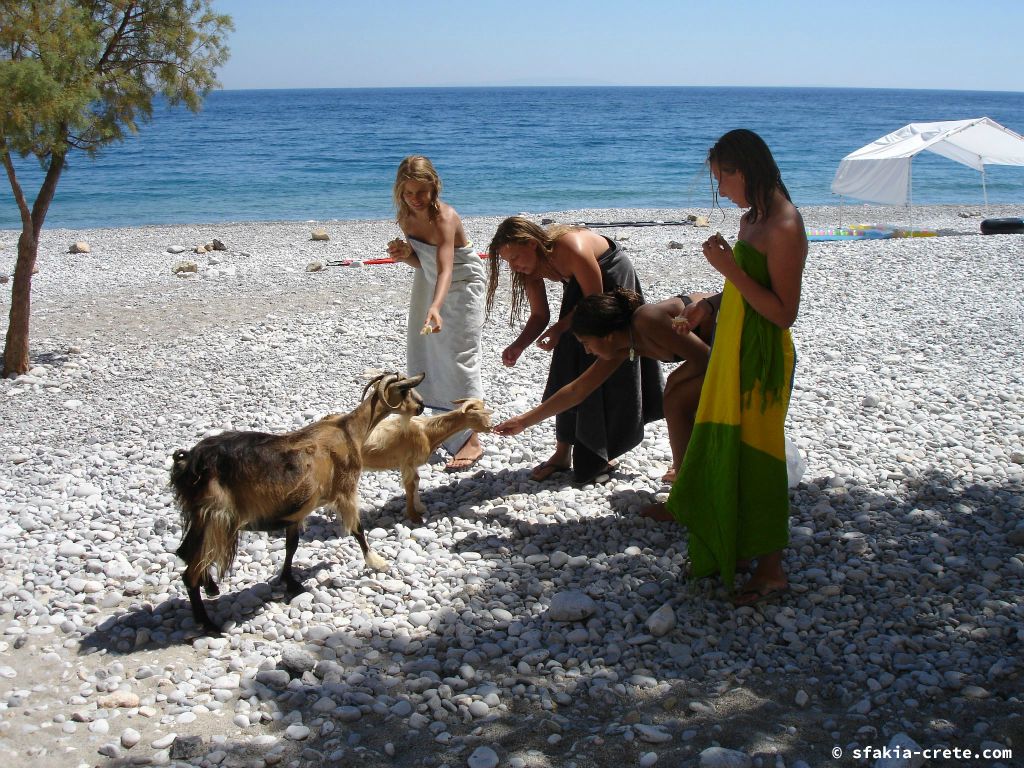 Photo report of a stay around Sfakia, Crete in July - August 2009